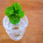 牧瀬 🍀11/7🍀 熟女の風俗最終章 新横浜店