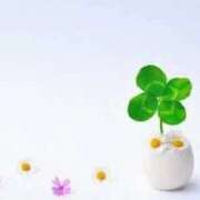 牧瀬 🍀お久し振りです🍀 熟女の風俗最終章 新横浜店