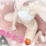 ヒメ日記 2025/05/25 15:38 投稿 北原もも 池袋3P複数プレイ専門店 ハーレム