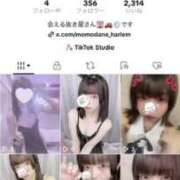 ヒメ日記 2025/10/12 16:59 投稿 北原もも 池袋3P複数プレイ専門店 ハーレム