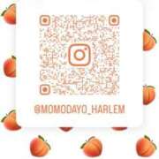 ヒメ日記 2026/04/07 21:04 投稿 北原もも 池袋3P複数プレイ専門店 ハーレム