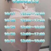 ヒメ日記 2025/10/28 09:10 投稿 珠井～TAMAI～ BBW名古屋店