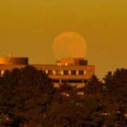 ヒメ日記 2024/12/20 11:46 投稿 金沢 熟女の風俗最終章 新横浜店