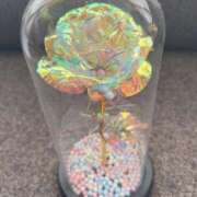 ヒメ日記 2025/01/16 11:36 投稿 金沢 熟女の風俗最終章 新横浜店