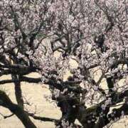 ヒメ日記 2026/02/28 09:53 投稿 体験さと ACCENT[アクセントグループ]