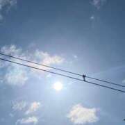 ヒメ日記 2025/04/03 09:17 投稿 みれい 金瓶梅-きんぺいぱい-