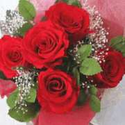 ヒメ日記 2025/07/09 09:46 投稿 みれい 金瓶梅-きんぺいぱい-