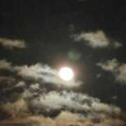 ヒメ日記 2026/03/05 22:35 投稿 みれい 金瓶梅-きんぺいぱい-