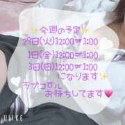 ヒメ日記 2025/07/30 09:17 投稿 にこ ぽっちゃり巨乳専門店 町田相模原ちゃんこ