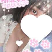 ヒメ日記 2026/02/19 10:03 投稿 にこ ぽっちゃり巨乳専門店 町田相模原ちゃんこ