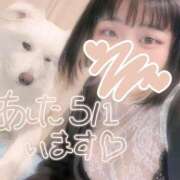 ヒメ日記 2026/04/30 21:02 投稿 にこ ぽっちゃり巨乳専門店 町田相模原ちゃんこ