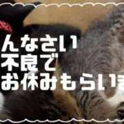 ヒメ日記 2026/06/09 11:14 投稿 にこ ぽっちゃり巨乳専門店 町田相模原ちゃんこ