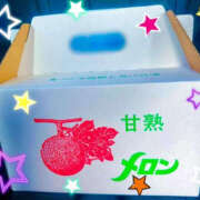 ヒメ日記 2025/06/25 12:59 投稿 りの TSUBAKI（水戸）