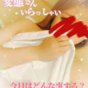 ヒメ日記 2025/01/09 10:00 投稿 濡れすぎ乙姫～オトメ ドMな奥さん 日本橋店