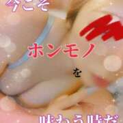 ヒメ日記 2025/04/07 00:01 投稿 濡れすぎ乙姫～オトメ ドMな奥さん 日本橋店
