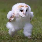 ヒメ日記 2025/06/22 20:50 投稿 しらつゆ 丸妻 新横浜店