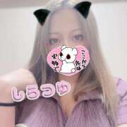 ヒメ日記 2025/08/30 13:21 投稿 しらつゆ 丸妻 新横浜店