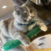 ヒメ日記 2025/08/31 10:43 投稿 しらつゆ 丸妻 新横浜店