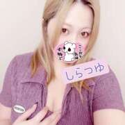 ヒメ日記 2025/10/09 16:07 投稿 しらつゆ 丸妻 新横浜店