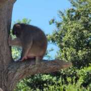 ヒメ日記 2025/10/22 12:41 投稿 しらつゆ 丸妻 新横浜店