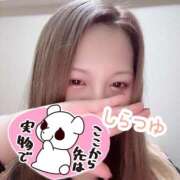 ヒメ日記 2025/11/07 12:59 投稿 しらつゆ 丸妻 新横浜店