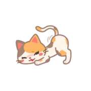 ヒメ日記 2025/12/09 11:43 投稿 しらつゆ 丸妻 新横浜店