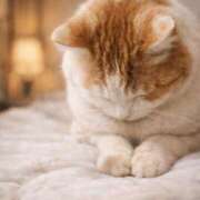 ヒメ日記 2026/03/26 15:50 投稿 しらつゆ 丸妻 新横浜店