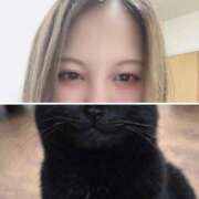 ヒメ日記 2026/03/31 18:21 投稿 しらつゆ 丸妻 新横浜店