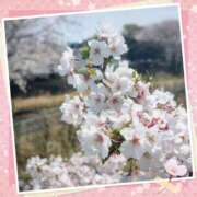 ヒメ日記 2025/04/23 13:32 投稿 町田ゆいこ(まちだゆいこ) 五十路マダムエクスプレス厚木店(カサブランカグループ)