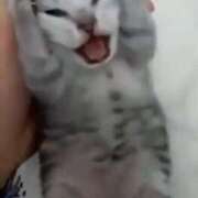 あいの [お題]from:二択だよ♪さん 11チャンネル