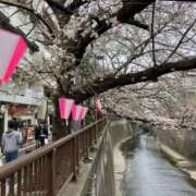 ヒメ日記 2026/04/02 07:26 投稿 あいの 11チャンネル