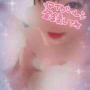 ヒメ日記 2024/12/18 15:48 投稿 きこ ベイキュート