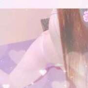 ヒメ日記 2025/02/17 07:37 投稿 きこ ベイキュート