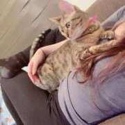 ヒメ日記 2025/03/04 19:47 投稿 きこ ベイキュート