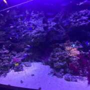 ヒメ日記 2025/05/20 15:27 投稿 きこ ベイキュート