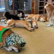 ヒメ日記 2025/03/06 17:00 投稿 御幸（みゆき） 丸妻 錦糸町店