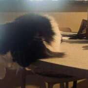 ヒメ日記 2025/08/07 16:33 投稿 御幸（みゆき） 丸妻 錦糸町店