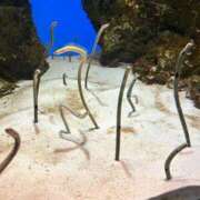 ヒメ日記 2025/09/18 17:05 投稿 御幸（みゆき） 丸妻 錦糸町店