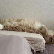 御幸（みゆき） 昨日のお礼とご挨拶 丸妻 錦糸町店