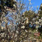 ヒメ日記 2026/03/01 18:06 投稿 御幸（みゆき） 丸妻 錦糸町店