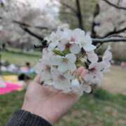 ヒメ日記 2026/03/15 13:13 投稿 御幸（みゆき） 丸妻 錦糸町店