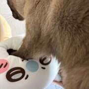 ヒメ日記 2026/03/17 17:17 投稿 御幸（みゆき） 丸妻 錦糸町店