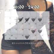 ヒメ日記 2026/03/05 03:05 投稿 アリー バイオレンス