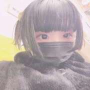 ヒメ日記 2025/01/04 07:20 投稿 える ふぁーすと・きす