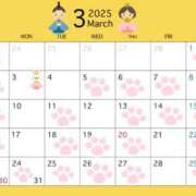 ヒメ日記 2025/02/28 10:58 投稿 える ふぁーすと・きす