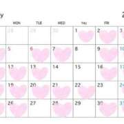 ヒメ日記 2025/04/29 09:01 投稿 える ふぁーすと・きす