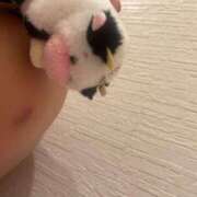 ヒメ日記 2026/01/26 21:14 投稿 える ふぁーすと・きす