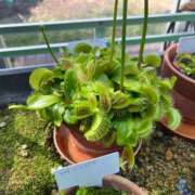 ヒメ日記 2025/03/25 18:30 投稿 にこ姫 螢