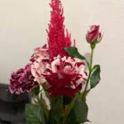 ヒメ日記 2025/04/11 18:35 投稿 にこ姫 螢