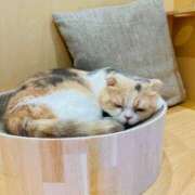 にこ姫 こんにちわ 螢